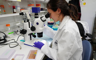 ansaette-nyt-personale1