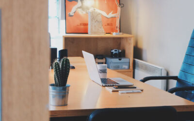 CDM-offentlig-ledelse1